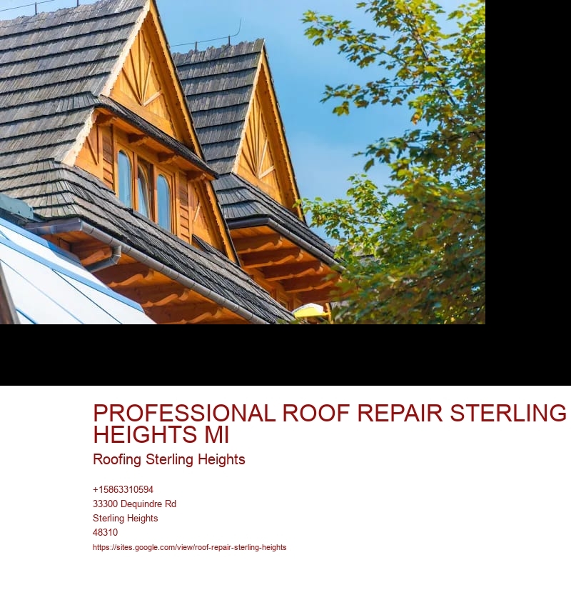 PROFESSIONAL ROOF REPAIR STERLING HEIGHTS MI